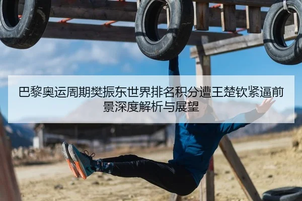 巴黎奥运周期樊振东世界排名积分遭王楚钦紧逼前景深度解析与展望